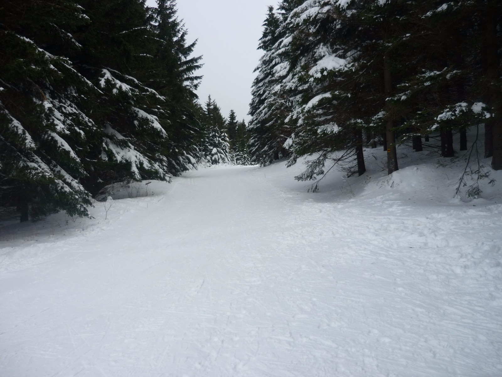 Skiareal Sindelna - Kouty nad Desnou (Winkelsdorf)