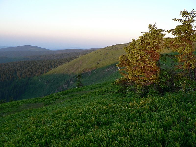 Vysoká hole - Jeseníky