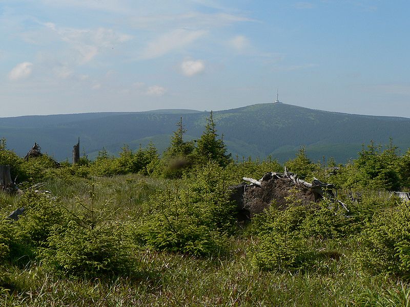 Hirsch Wiesen - Altvatergebirge