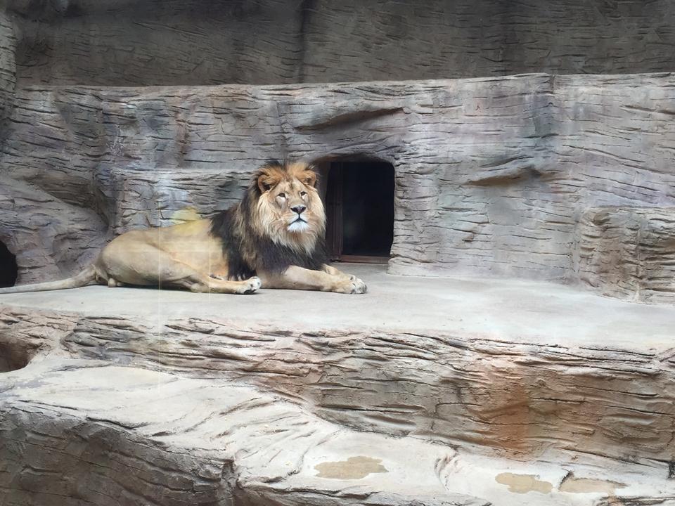 Zoologischer Garten Olomouc