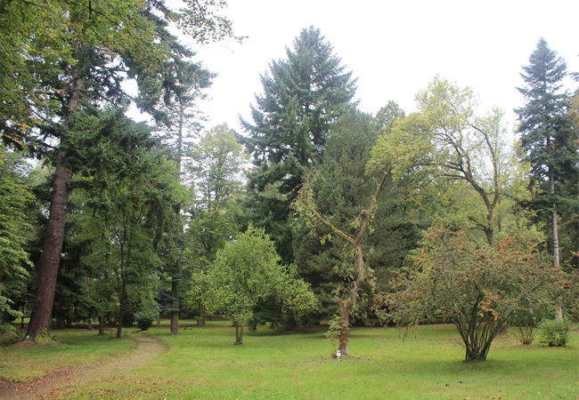 Arboretum Domažlice