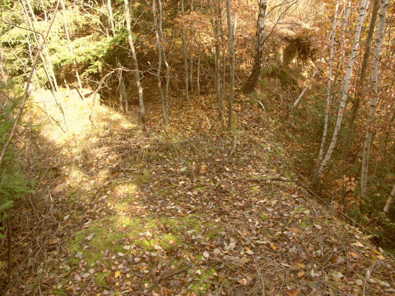 Schwedische Feldbefestigung - Rohozná