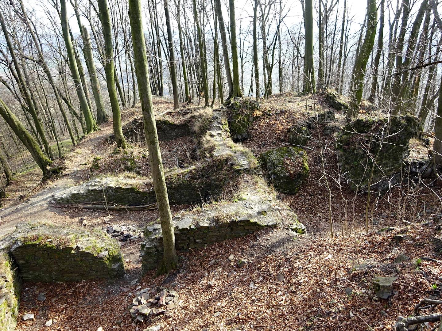 Zřícenina hradu Drahotuš