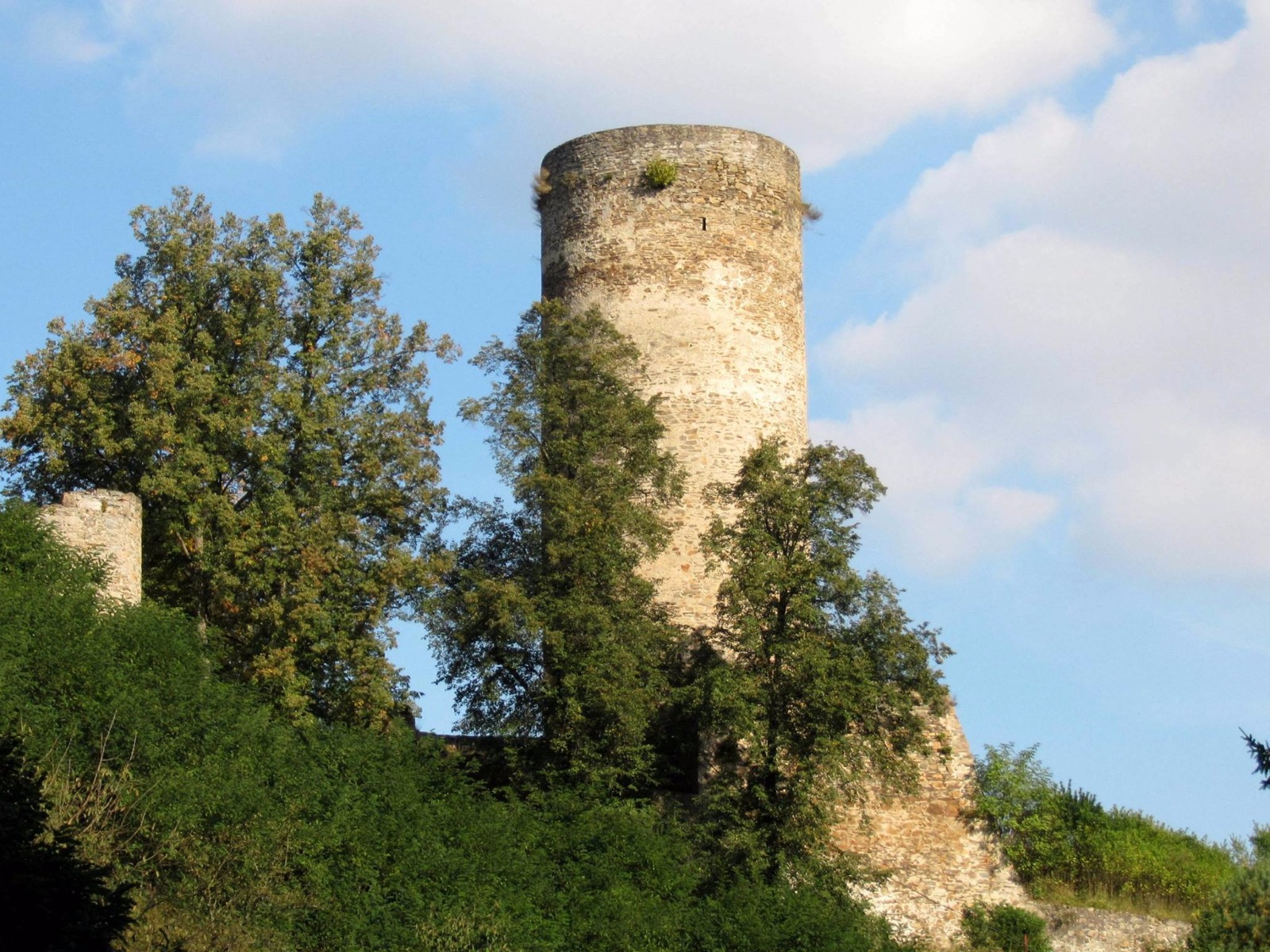 Ruine Burg Dobronice
