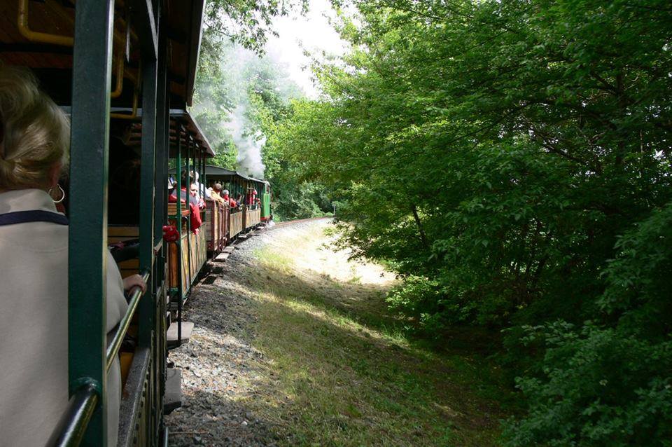 Koliner Rübenbahn