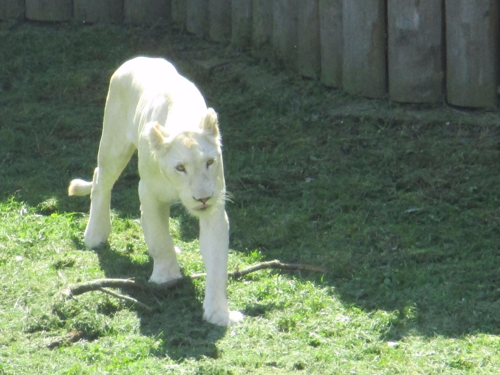 Zoologischer Garten Hodonín