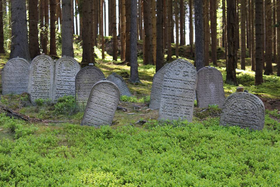 Lesní židovský hřbitov Drmoul