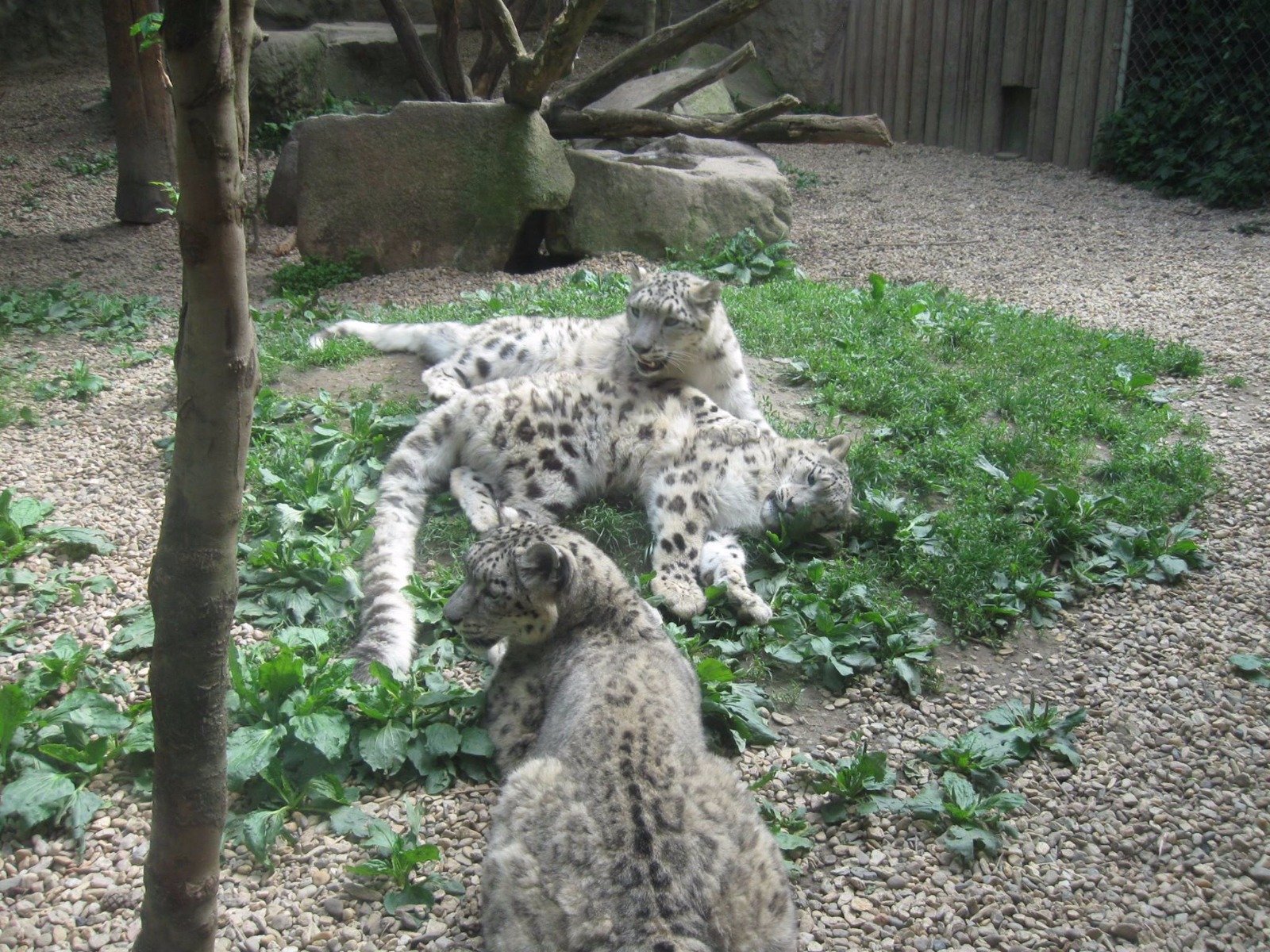 Zoological Garden Jihlava