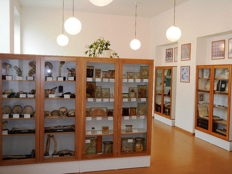 Muzeum patologie Opava