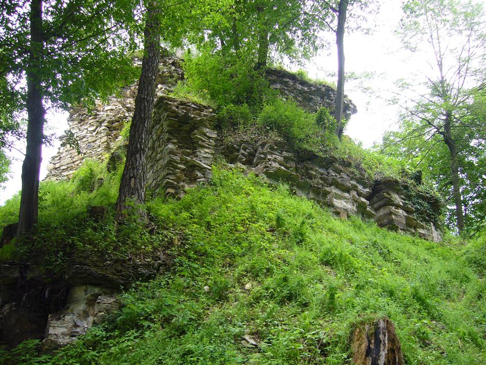 Burg Brandýs nad Orlicí (Brandeis an der Adler)