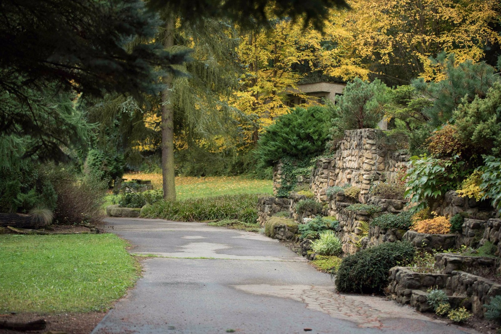 Arboretum Borotín