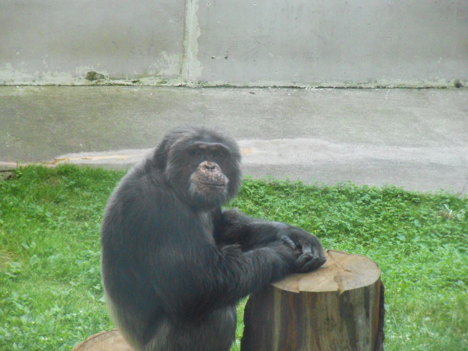 Zoologická zahrada Liberec