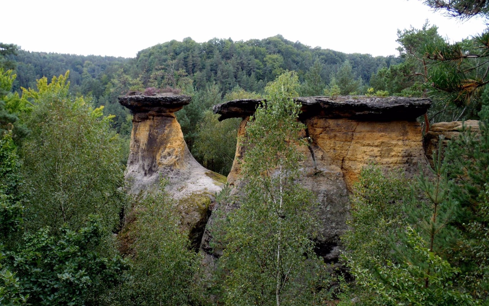 Kokořínské pokličky