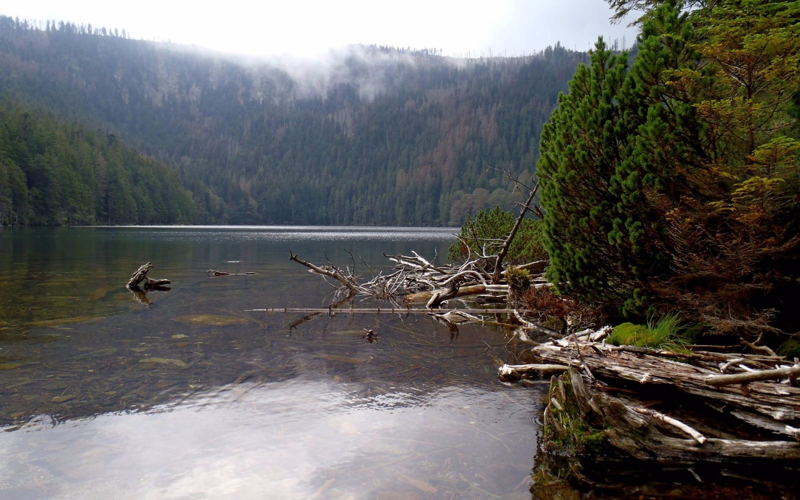 Schwarzer See Böhmerwald