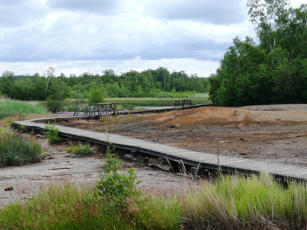 Nature Reserve SOOS